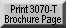 Print 3070-T Brochure Page